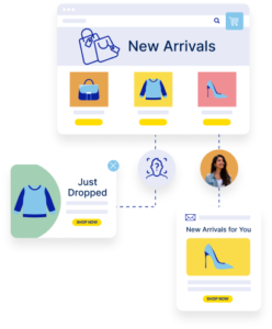 Identify & Convert Shoppers for Campaign Personalization | Bluecore